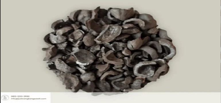harga kulit kemiri