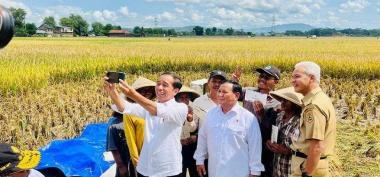 Analisis Terhadap Strategi Presiden Jokowi dalam Menentukan Calon Penggantinya dengan Ikut Cawe-cawe